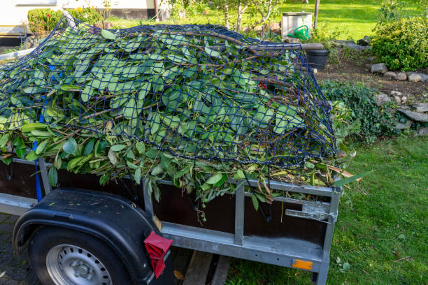 Best Hoarding Cleanup  in West Ishpeng, MI